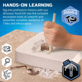 Discovery Dinosaur Dig Kit included tools ready for a safe, authentic dig experience.