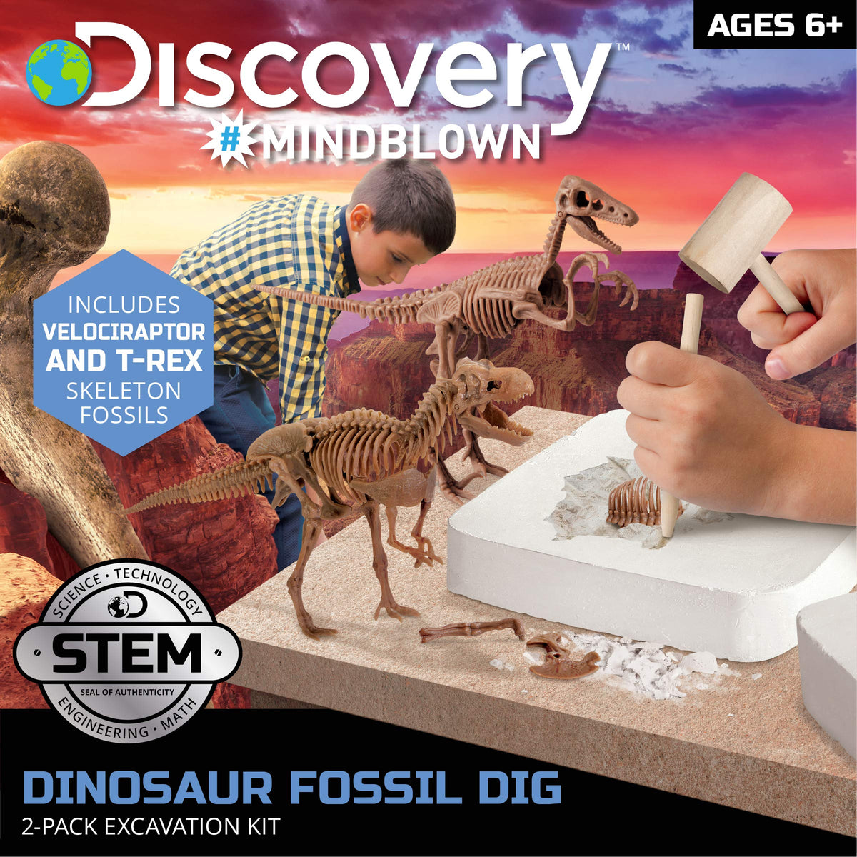 Discovery Dinosaur Dig Kit Velociraptor skeleton assembled for STEM exploration.
