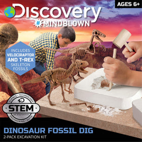 Discovery Dinosaur Dig Kit Velociraptor skeleton assembled for STEM exploration.