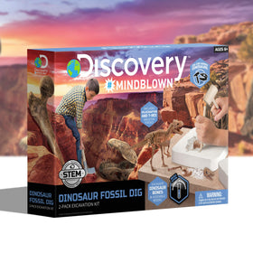 Discovery Dinosaur Dig Kit classroom or home science activity that sparks curiosity.