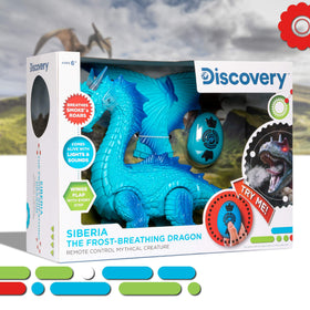 Discovery egg-shaped remote controller for easy kid use