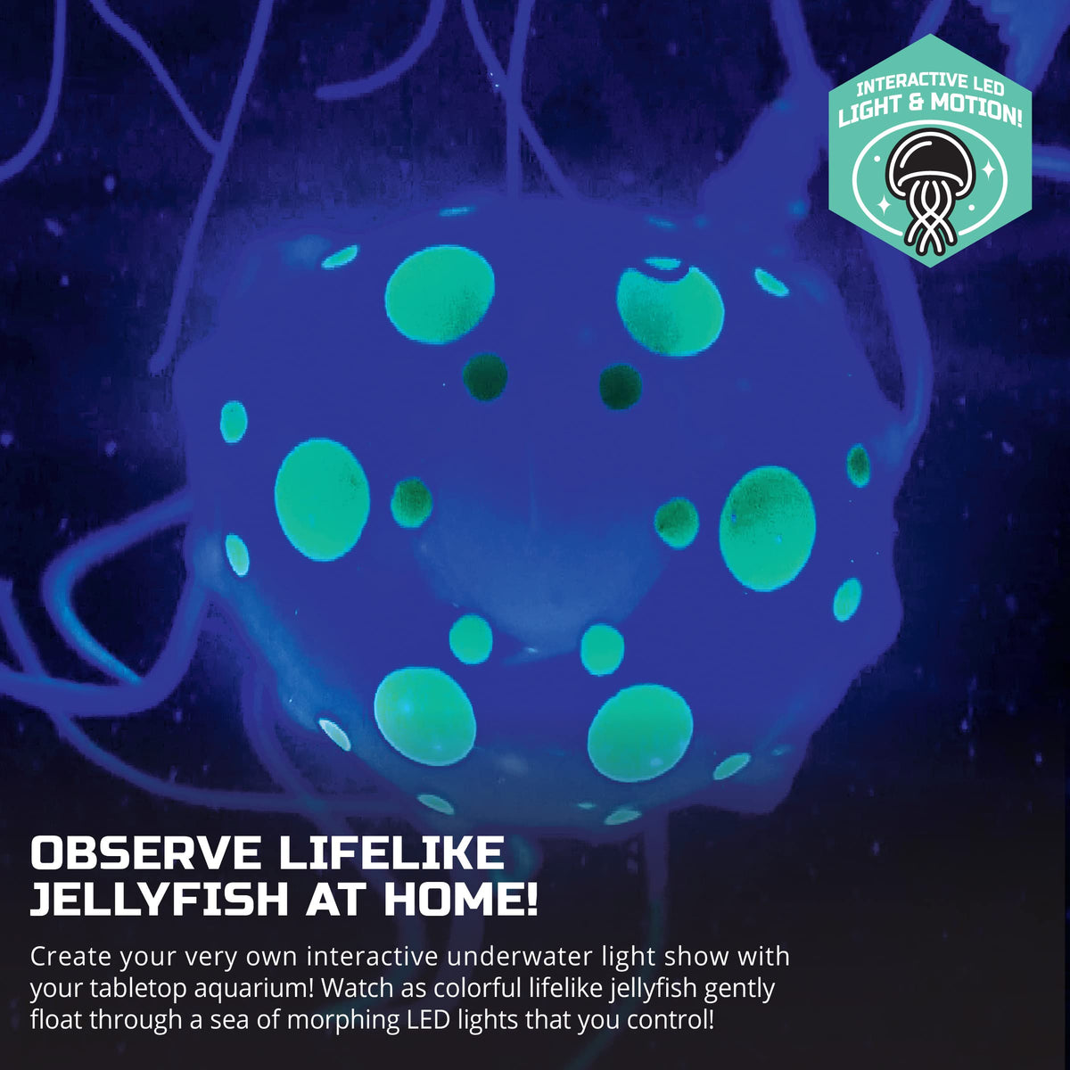 Discovery Jellyfish Aquarium Lamp lifelike jellyfish floating through morphing lights