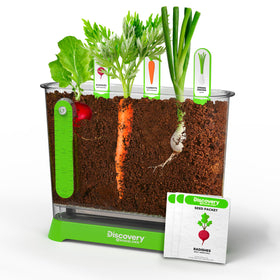 Discovery Veggie Garden container shows seedlings, enabling hands-on biology lessons at home.