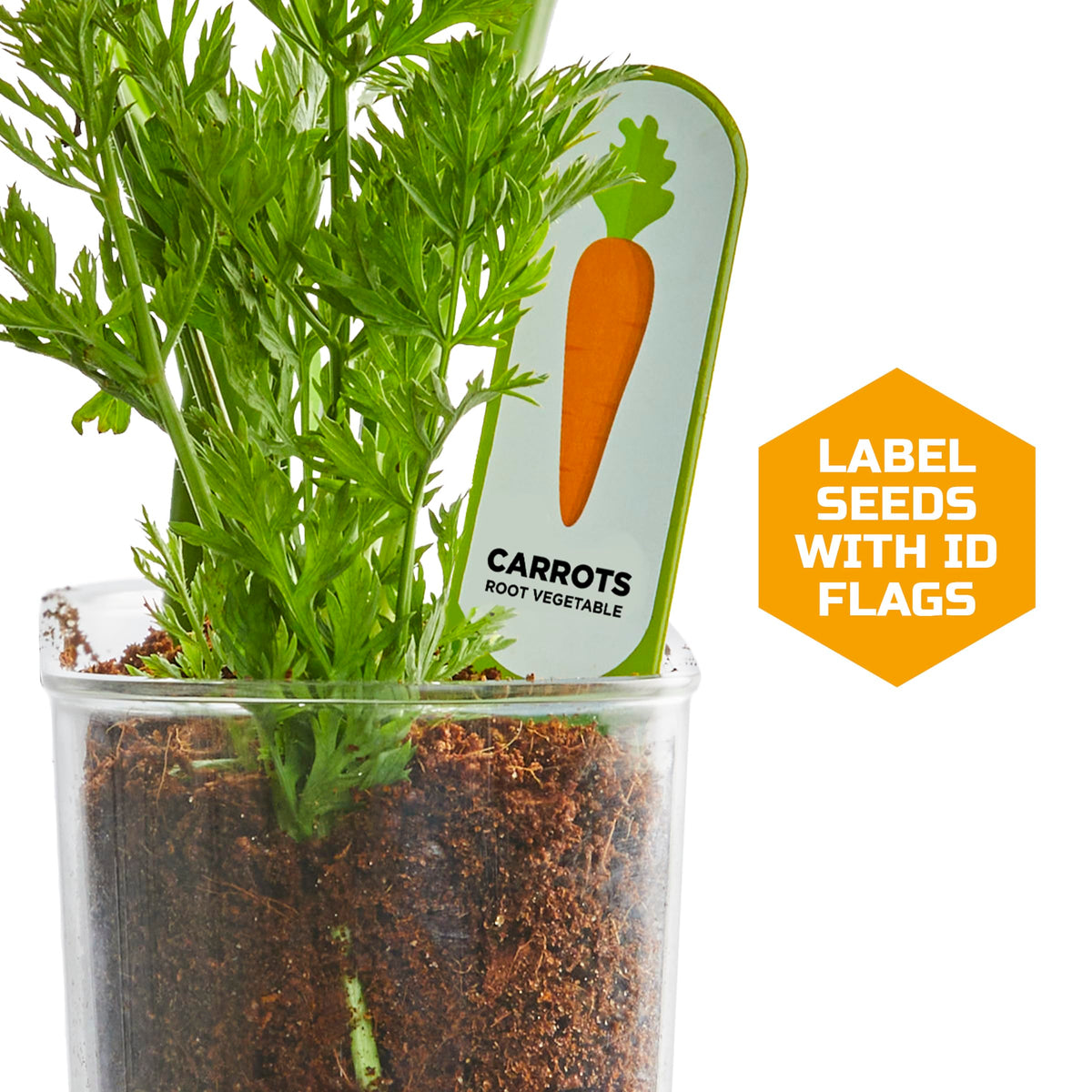 Discovery Veggie Garden potting mix provides ready-to-use coco coir for easy planting.