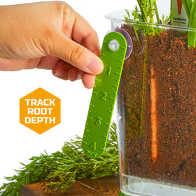 Discovery Veggie Garden root ruler helps track growth with simple measurements.