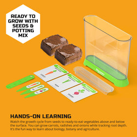 Discovery Veggie Garden seed packets show labeled varieties, aiding quick kid-friendly setup.