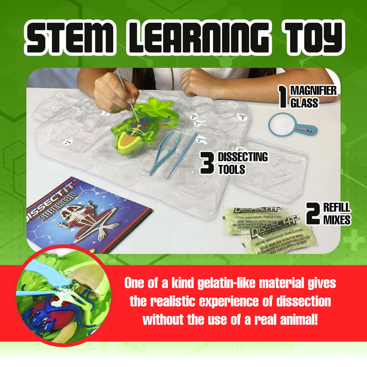 Dissect It 14-page instructions guide step-by-step anatomy activities.