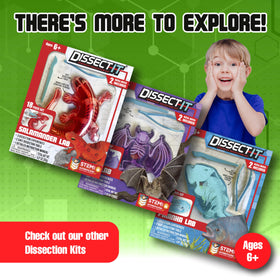 Dissect It bonus quiz supports understanding of anatomy concepts.
