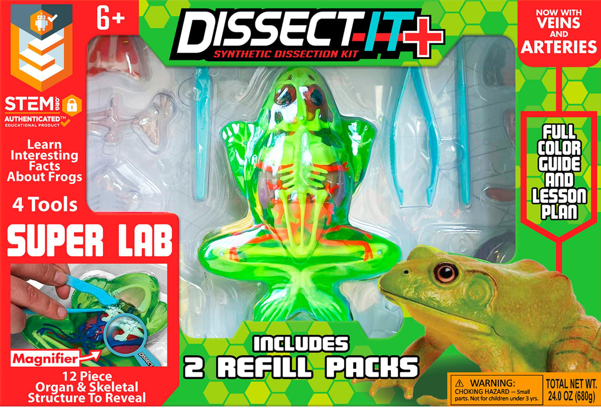 Dissect It frog model for safe, hands-on anatomy exploration.