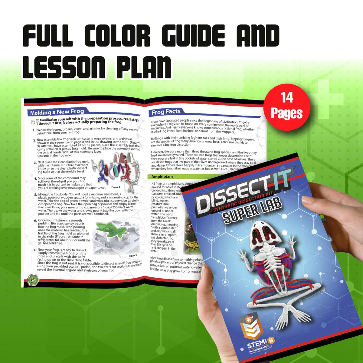 Dissect It online learning plan enhances guided exploration.