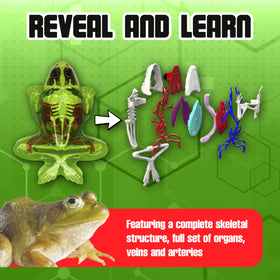 Dissect It refill gel packs extend hands-on lessons.