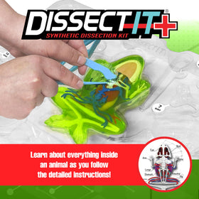 Dissect It synthetic gel material is odor-free and kid-safe.