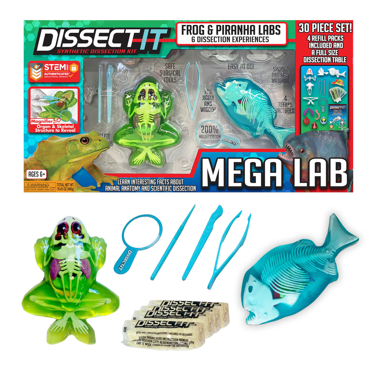 Dissect-It Mega Lab frog model for safe, hands-on anatomy exploration.