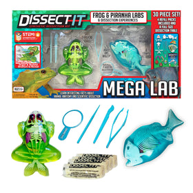 Dissect-It Mega Lab frog model for safe, hands-on anatomy exploration.