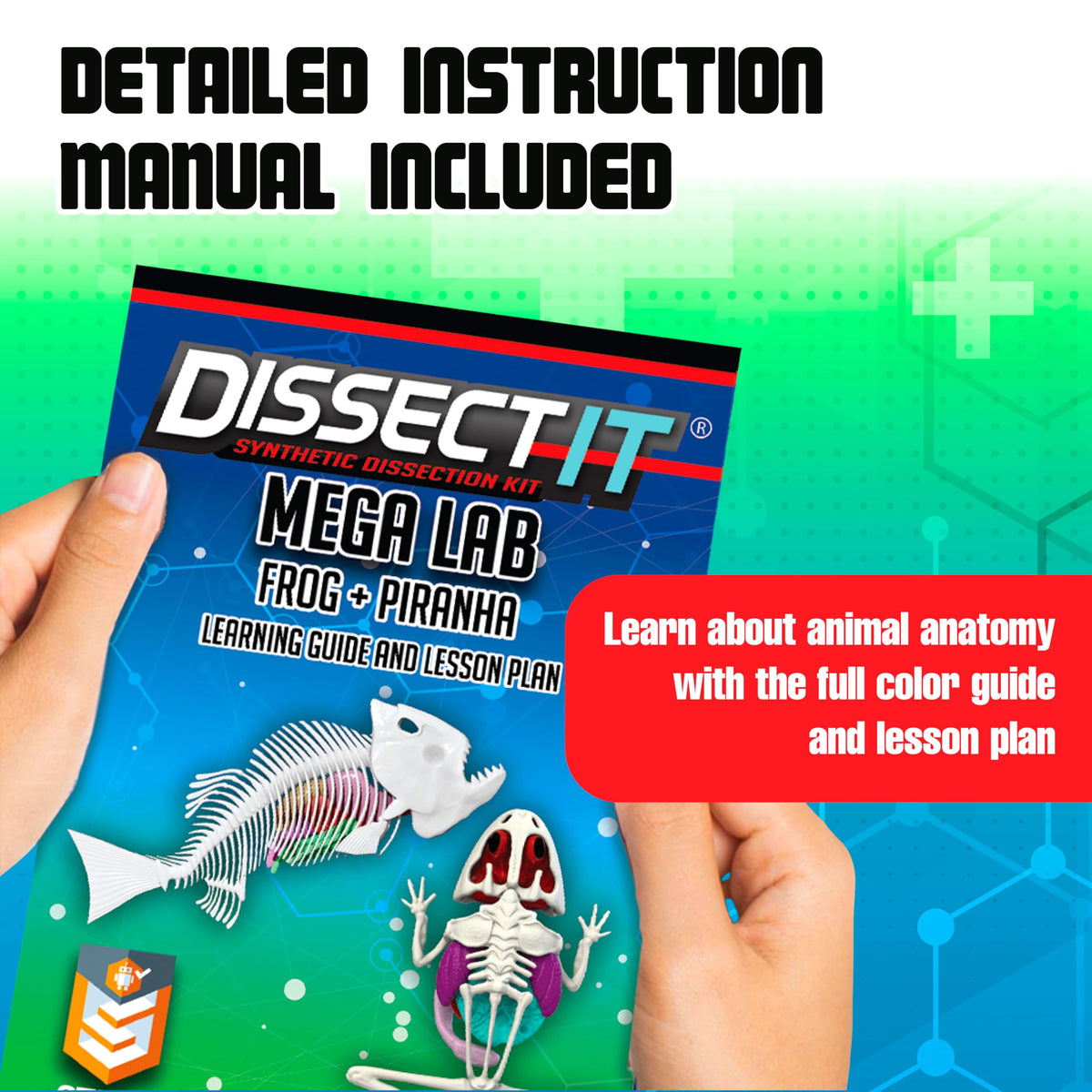 Dissect-It Mega Lab gel refills support repeated dissections with odorless material.