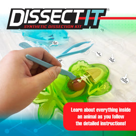 Dissect-It Mega Lab piranha model enabling anatomy study without real specimens.