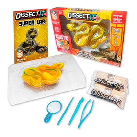 Dissect It rattlesnake kit on a worktable with tool set for safe learning.