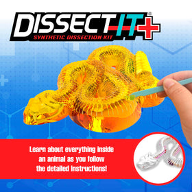 Dissect It rattlesnake model close-up reveals 35 bones and skeletal structure.