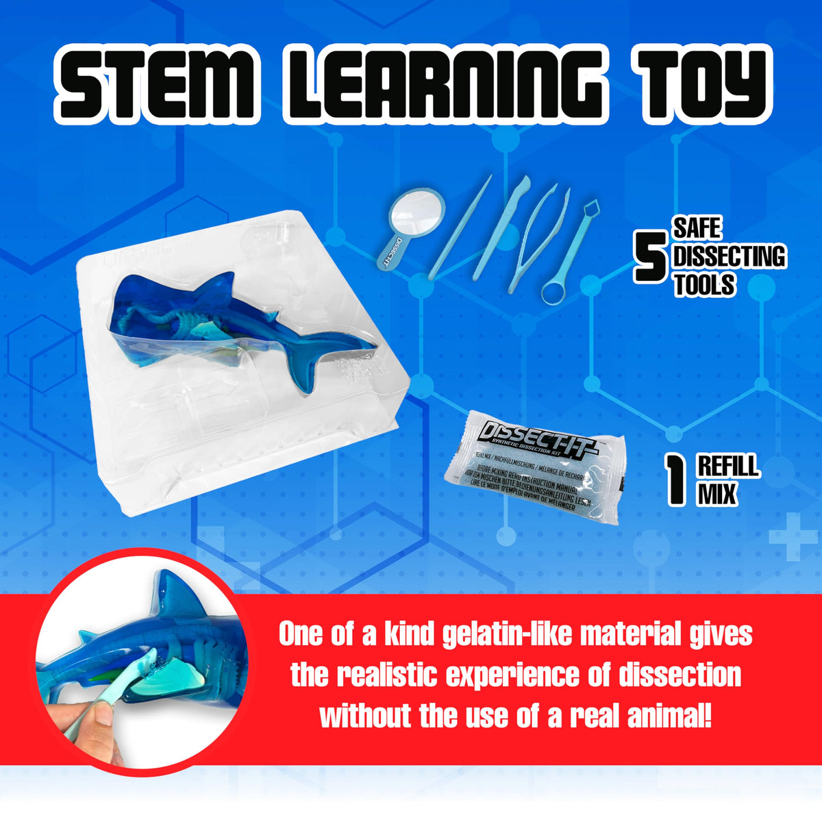 Dissect-It Super Shark Lab lifelike organs for realistic internal study.