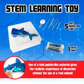 Dissect-It Super Shark Lab lifelike organs for realistic internal study.