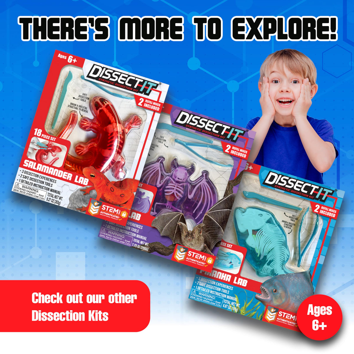 Dissect-It Super Shark Lab mystery skeleton reveal adds surprise.