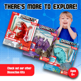 Dissect-It Super Shark Lab mystery skeleton reveal adds surprise.