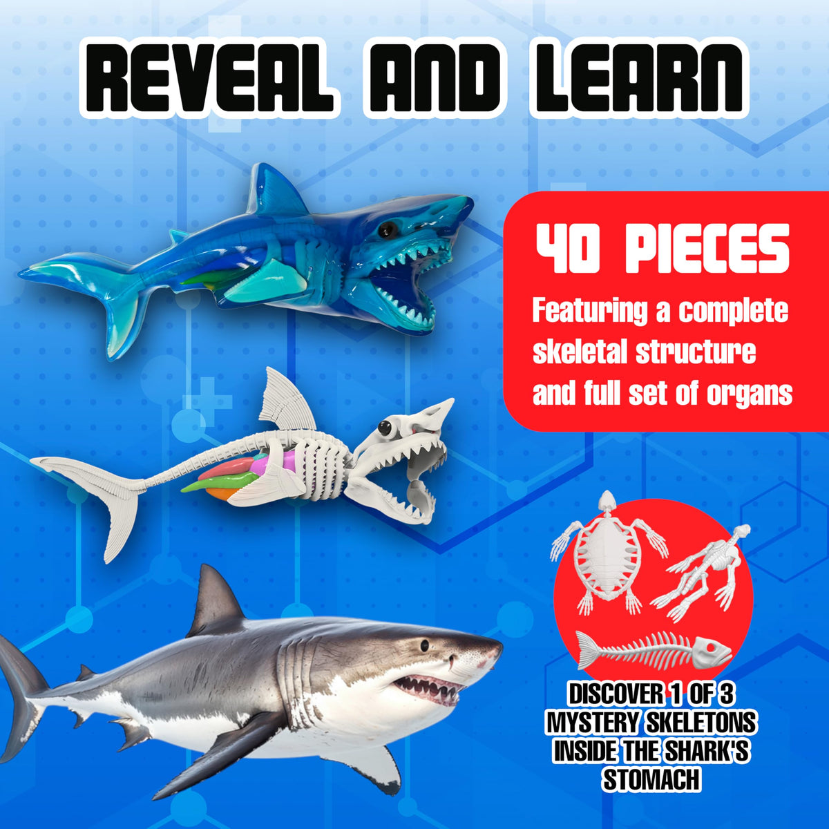 Dissect-It Super Shark Lab safe plastic tools for young researchers.