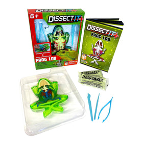 Dissect-It frog-dissection-kit-model enables safe, hands-on anatomy exploration at home.