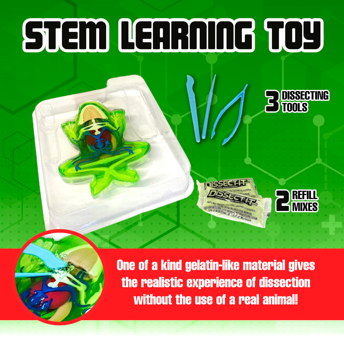 Dissect-It frog-model with gelatin-like material for realistic tissue exploration.