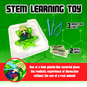 Dissect-It frog-model with gelatin-like material for realistic tissue exploration.