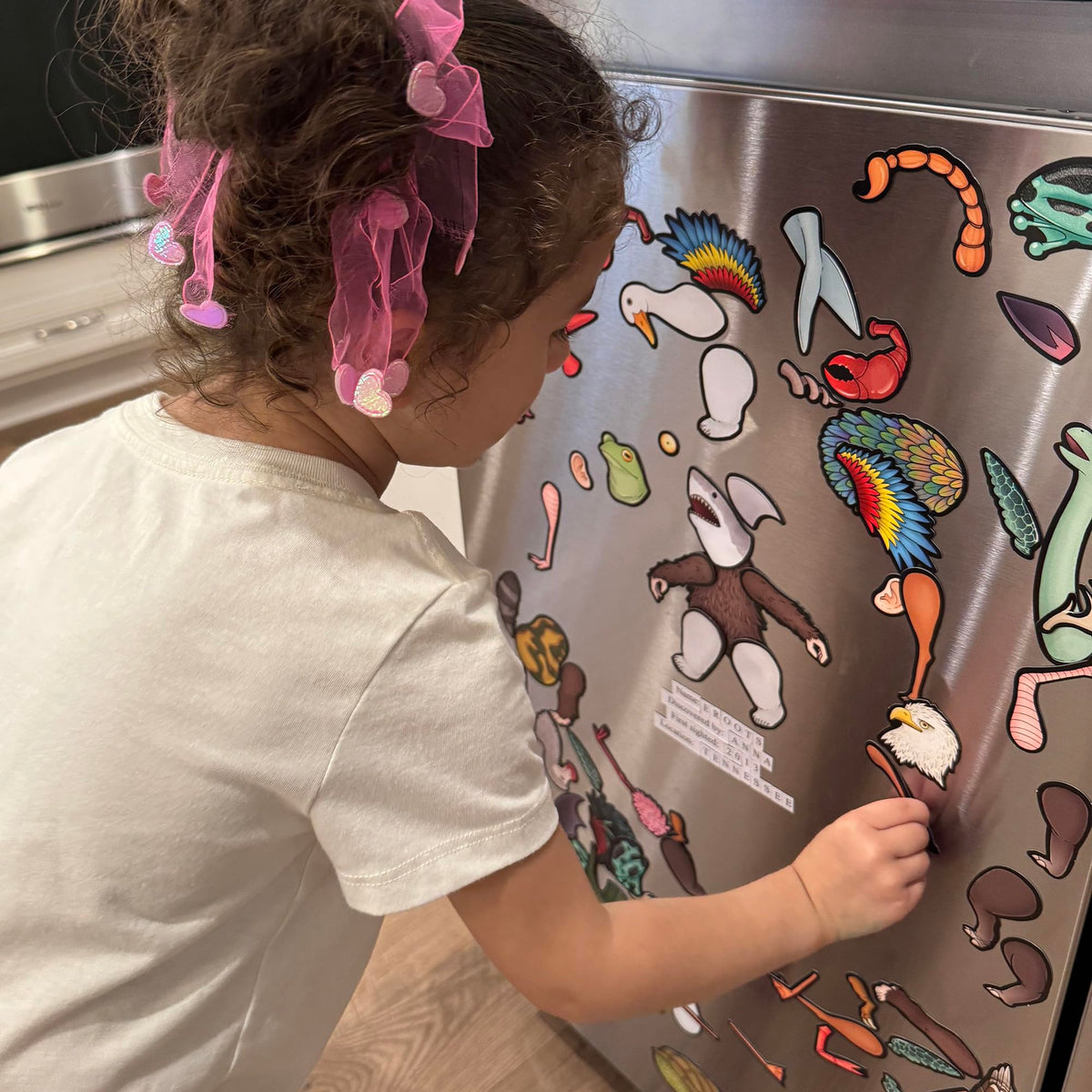 Dissent Pins Cryptid Kit magnets stick to metal surfaces for versatile displays
