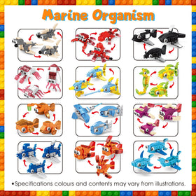 DMIGHT vibrant colors and shapes support color recognition.