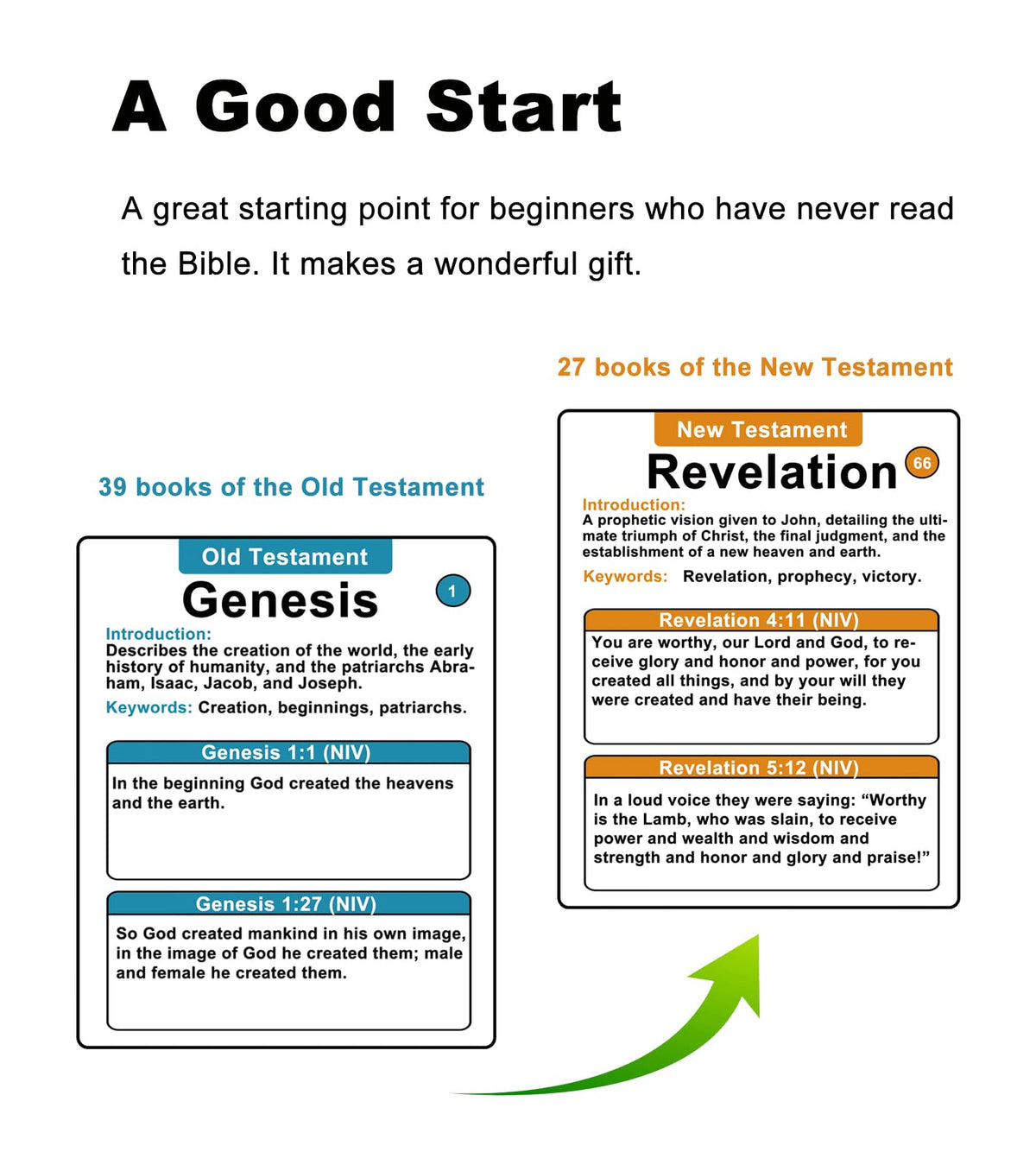 Docdeer Bible 66 Books Flash Cards laminated matte finish withstands daily use.