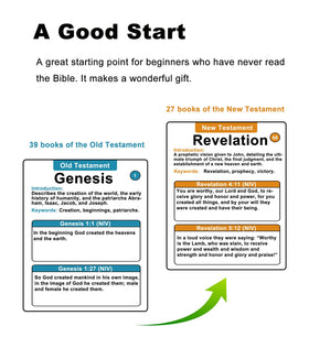 Docdeer Bible 66 Books Flash Cards laminated matte finish withstands daily use.
