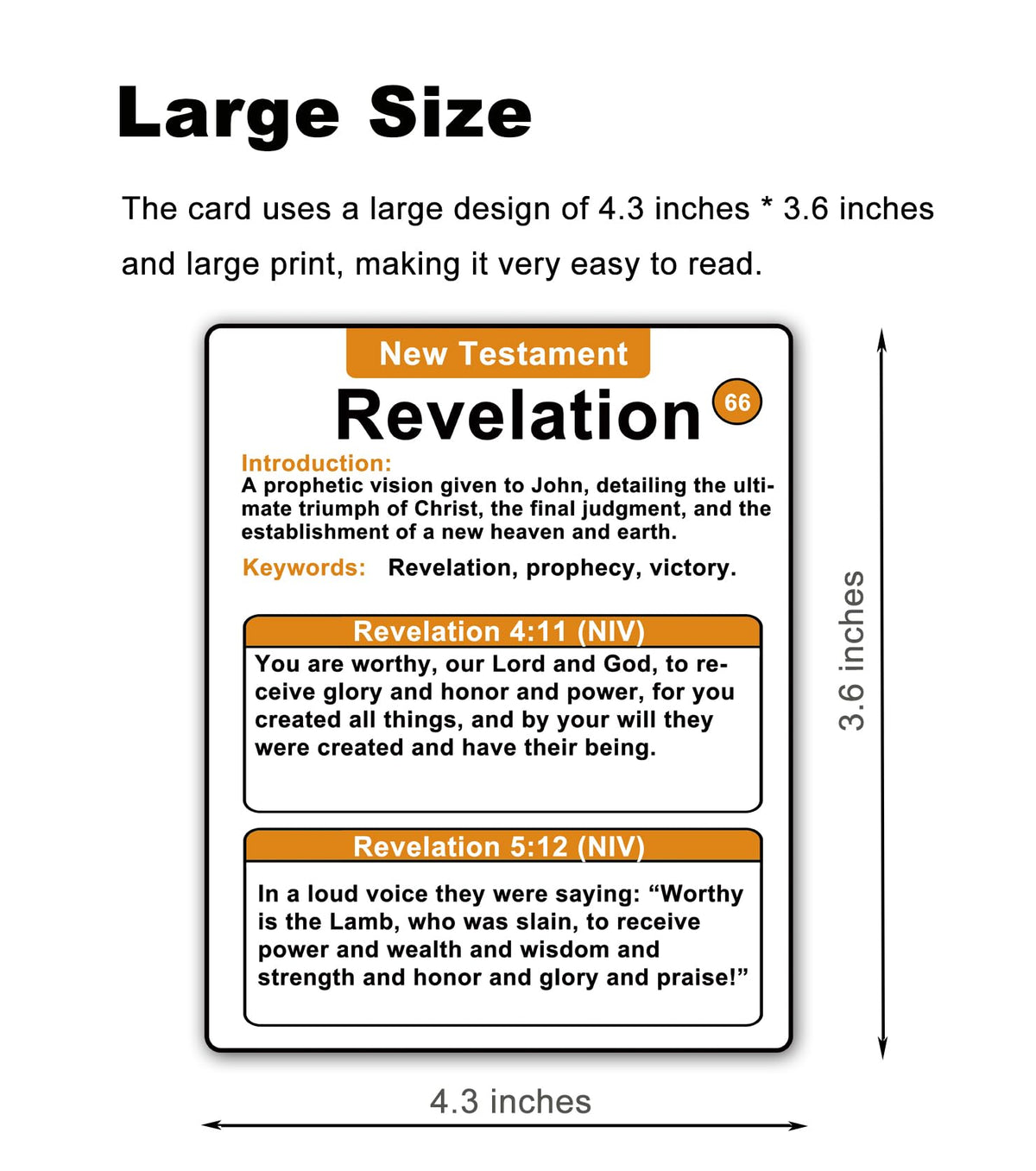 Docdeer Bible 66 Books Flash Cards large print aids quick surveying of books.