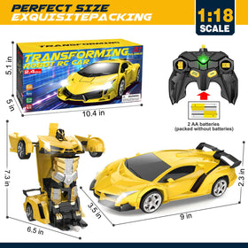 Dolanus remote control car makes a great birthday or holiday gift