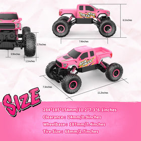 2.4GHz remote control on the Double E Raptor F150 RC Car for interference-free racing.