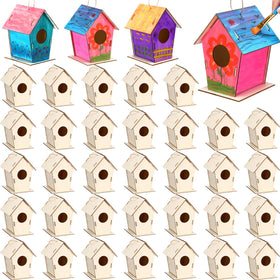 DoubleFill birdhouse kit—unfinished wood ideal for kids' painting projects