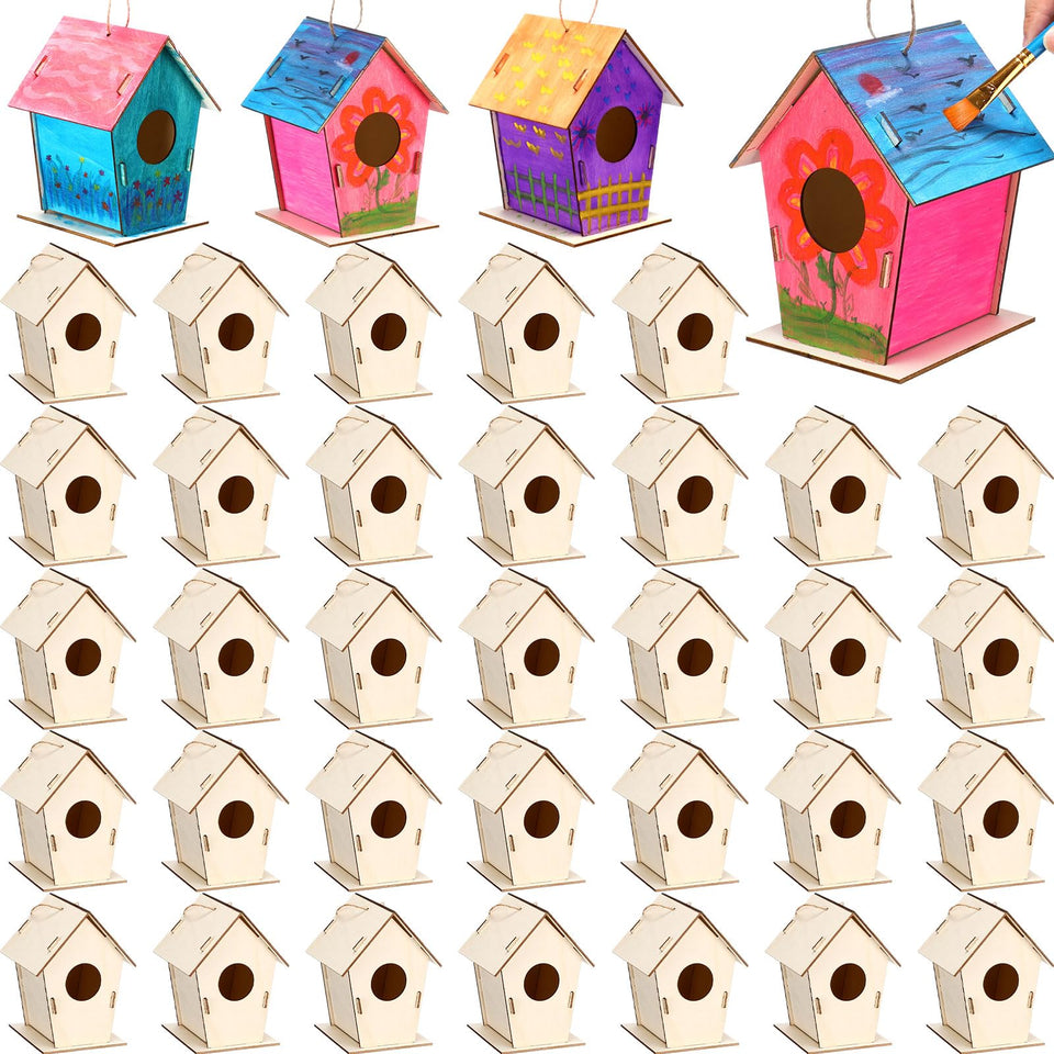 DoubleFill birdhouse kit—unfinished wood ideal for kids' painting projects