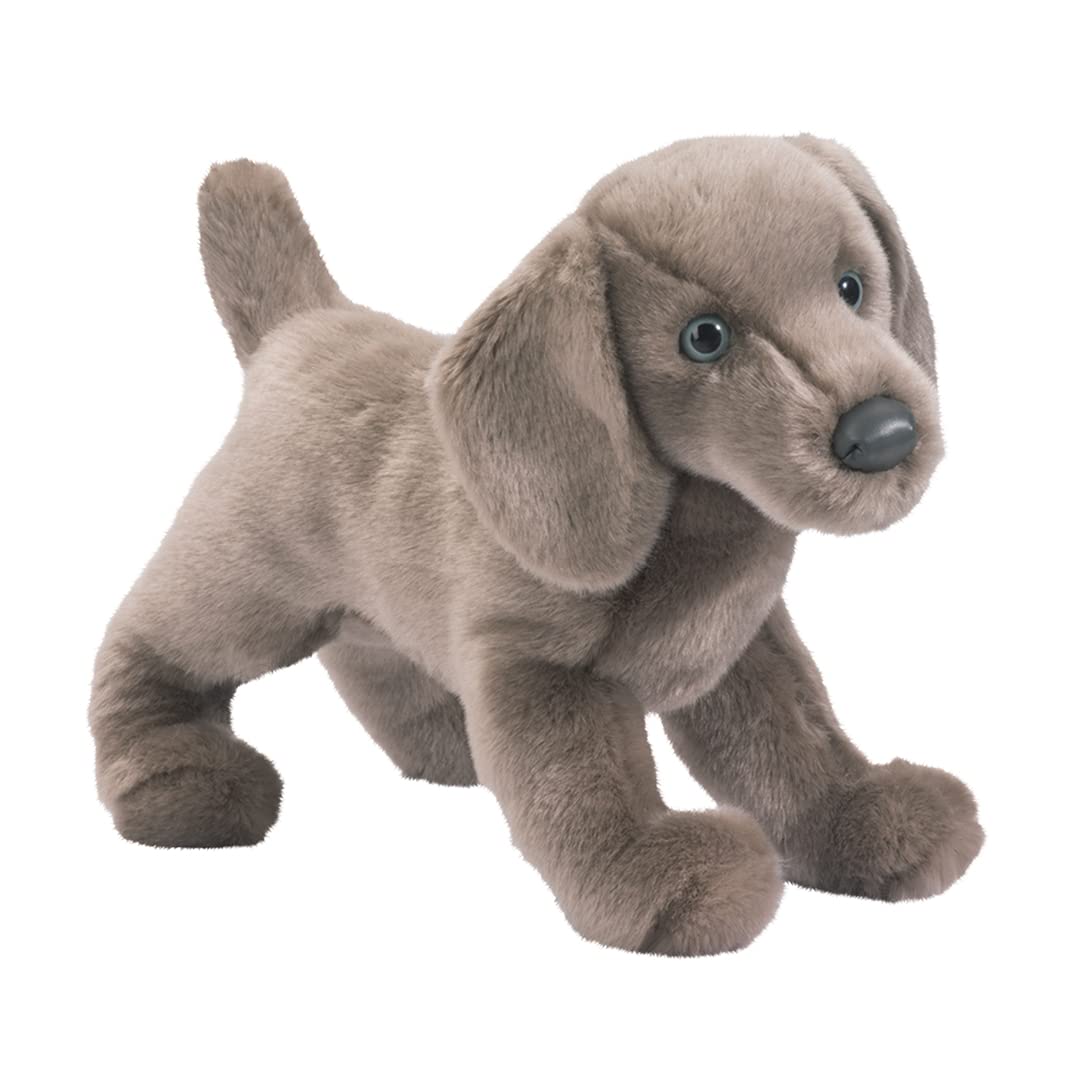 Douglas Cassie Weimaraner plush with lifelike blue eyes for cuddly play
