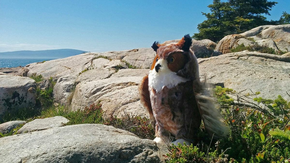 Douglas Einstein Great Horned Owl plush full view, compact 11-inch size perfect for display or play.
