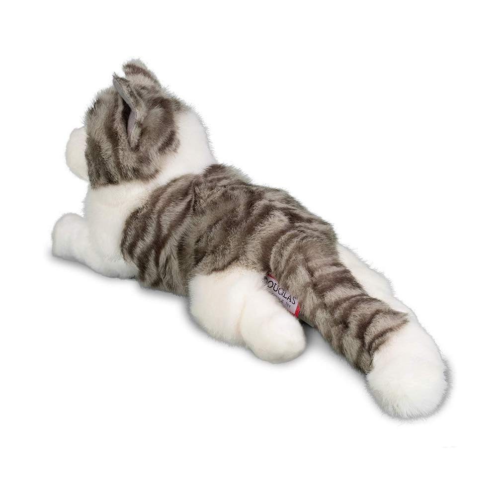 Douglas Smokey plush gray-white coat enhances tabby detail.
