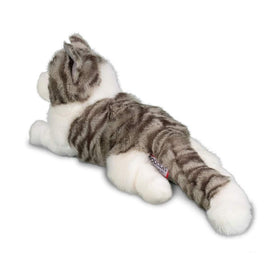 Douglas Smokey plush gray-white coat enhances tabby detail.