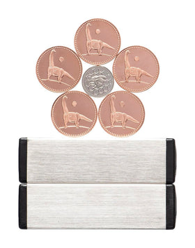 Dowling Magnets Magic Penny instruction guide with step-by-step ideas