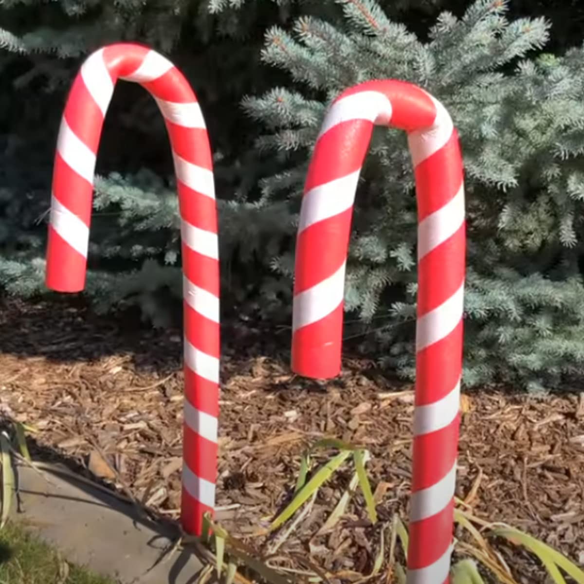 DQFAQYY noodle doubles as Halloween and Christmas decor accents