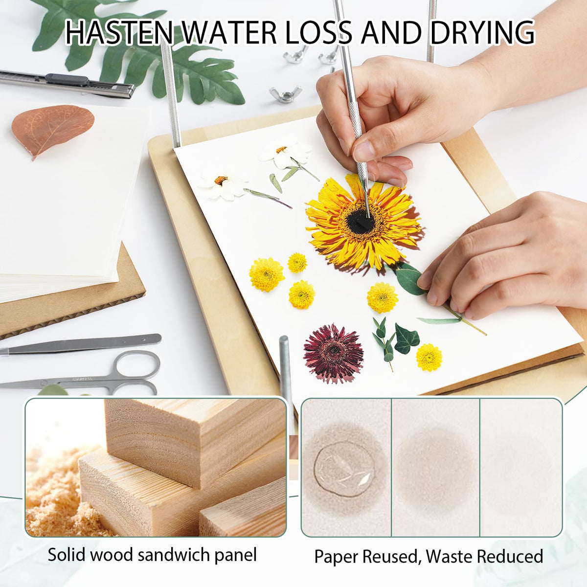 Dreamon basswood press construction with rounded edges for durability