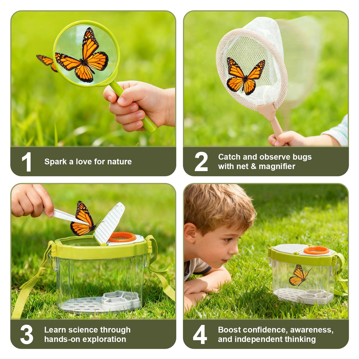 Dreamon tweezers help precise, gentle handling of tiny creatures.