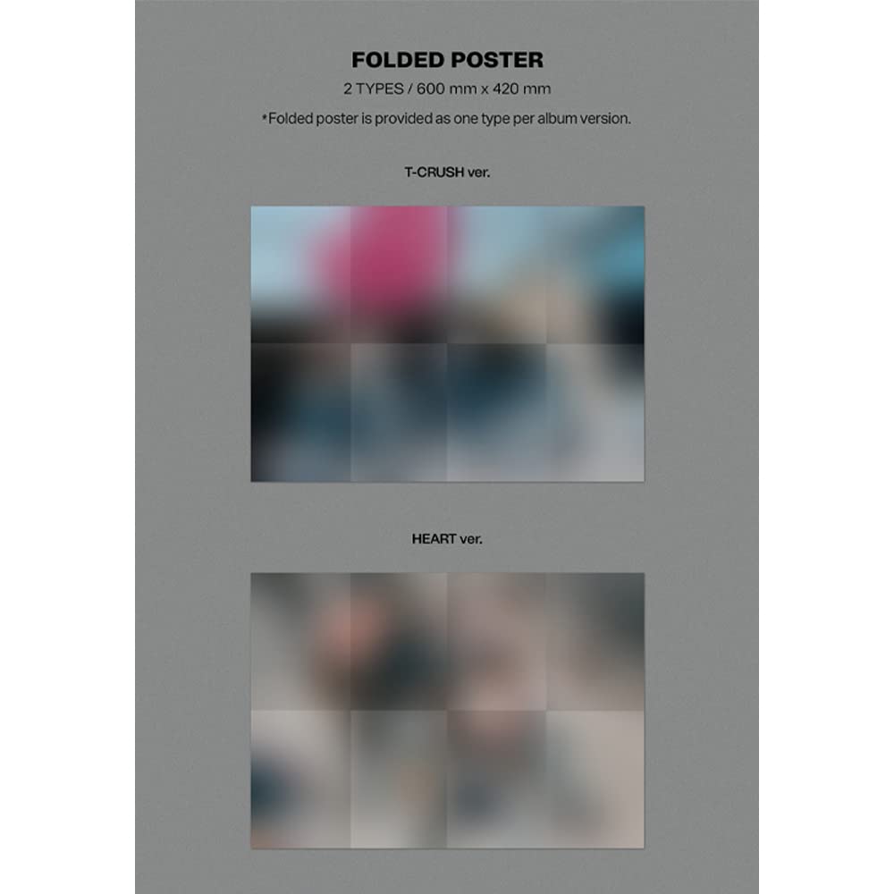 Dreamus Stray Kids MAXIDENT T-CRUSH Black folded poster for wall display.
