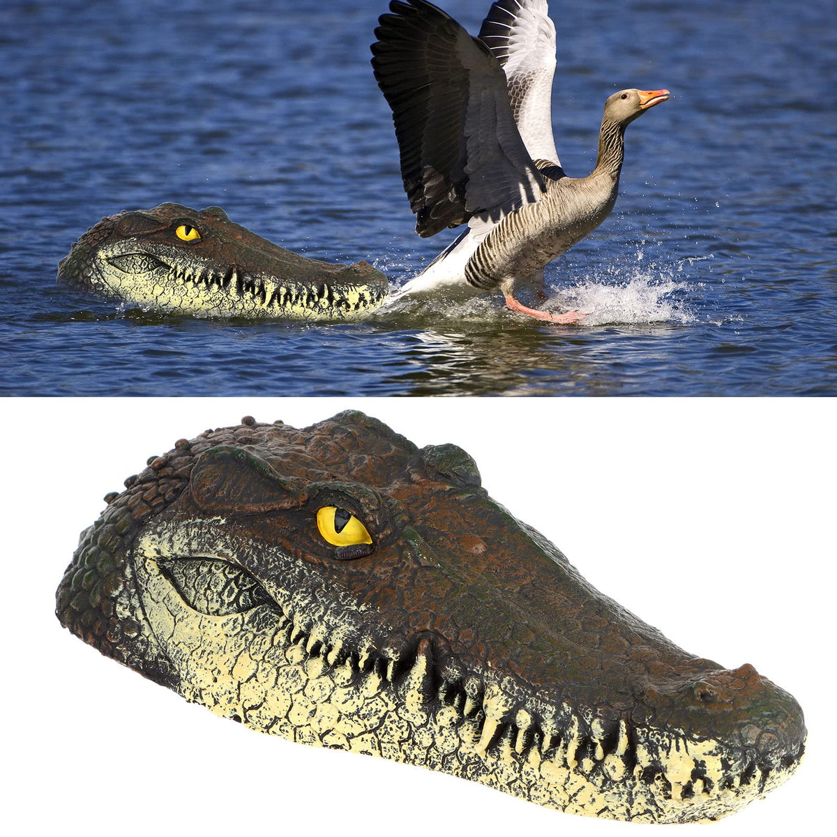 Droutti pond floating fake alligator head deters pond pests with a lifelike look