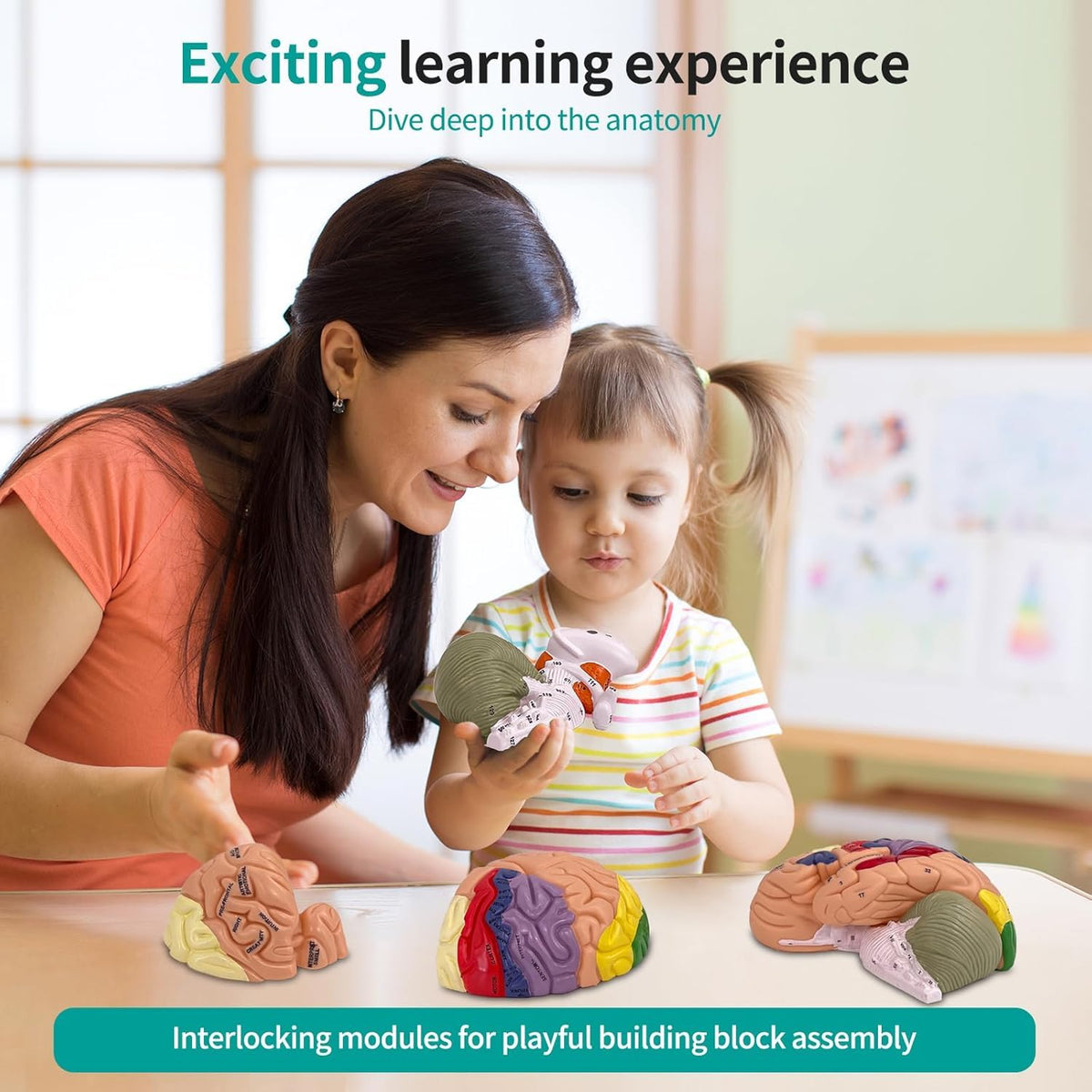 DSFGFRR durable green PVC construction makes cleaning easy and long-lasting in classrooms.